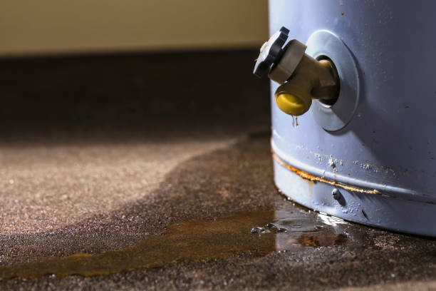 Best Ceiling water damage repair  in Glenwood, GA