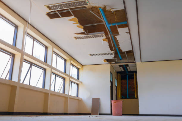 Best Fire Damage Restoration  in Glenwood, GA