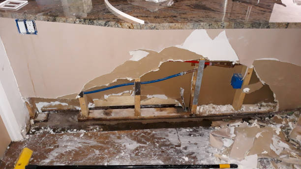 Best Water damage repair service  in Glenwood, GA