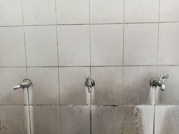 Best Mold removal after water damage  in Glenwood, GA
