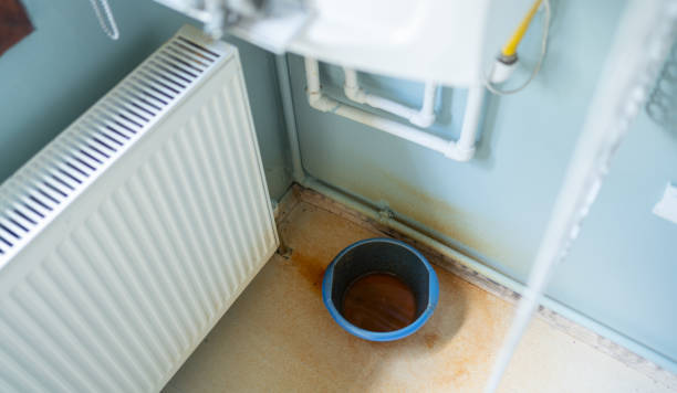 Best Water damage contractors near me  in Glenwood, GA