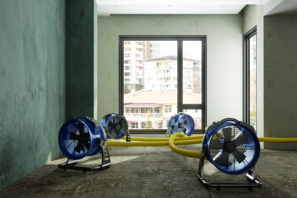 Best Basement water damage restoration  in Glenwood, GA